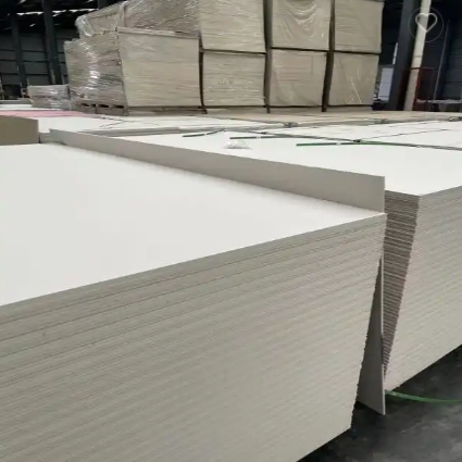 paper backed plasterboard